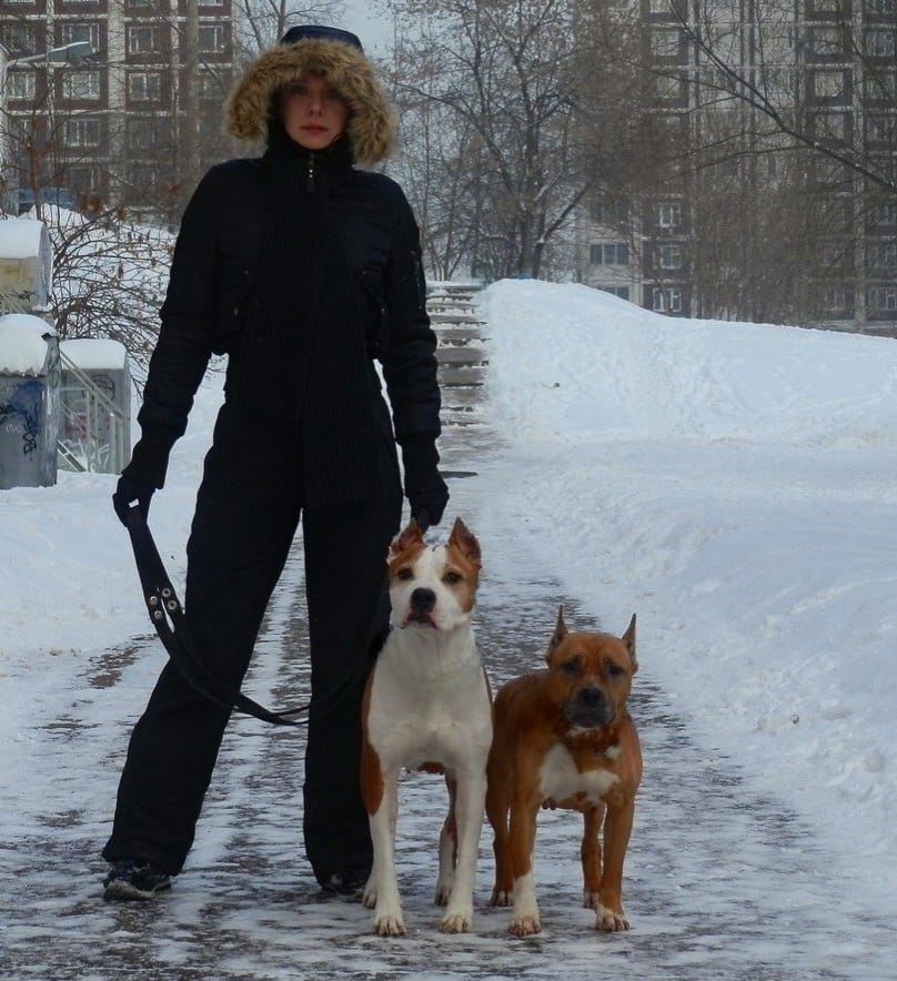 Светлана Собакинс зоопсихолог и кинолог собак Собакинс и Ко